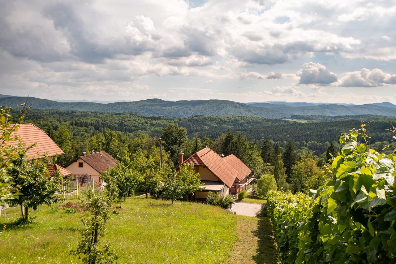 Vineyard Cottage Pod Piramido Dobrnic Екстериор снимка