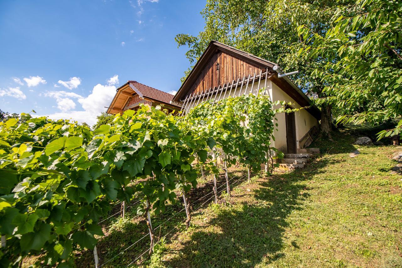 Vineyard Cottage Pod Piramido Dobrnic Екстериор снимка